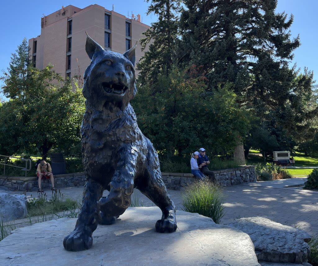 Federal probe into discrimination expands at Montana State University