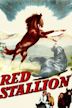 The Red Stallion