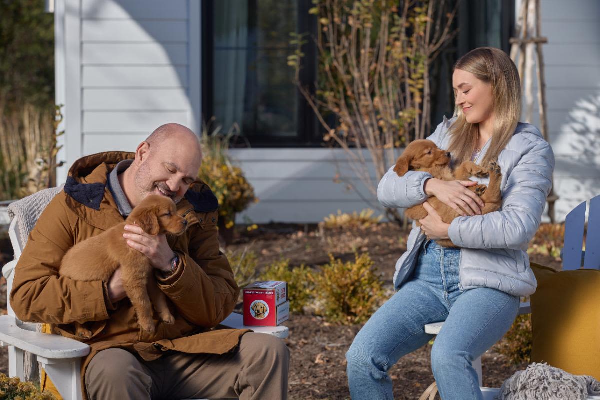 Stream It Or Skip It: 'Everything Puppies' on Hallmark, a romance that combines love, puppies, and corporate villainy into one weirdly pleasing movie