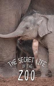 The Secret Life of the Zoo