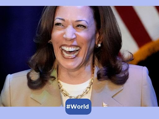 US Presidential Election 2024: What is ‘White Dudes for Harris’?