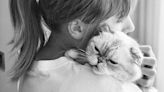 All About Taylor Swift’s Cats: Meredith, Olivia, and Benjamin