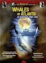 Whales of Atlantis: In Search of Moby Dick