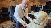 Parliamentary pup Jennie loves a ‘good lie down’ in the Commons chamber