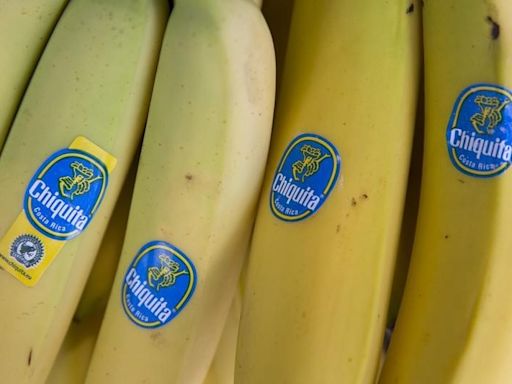 Preços da banana, da laranja e do mamão caem no atacado em maio, aponta Conab Por Estadão Conteúdo