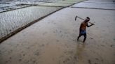 Climate change makes India's monsoons erratic. Can farmers still find a way to prosper?