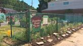 Humane Action Pittsburgh breaks ground on pollinator garden in Sharpsburg