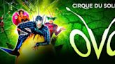 Cirque du Soleil's OVO is Coming to DCU Center in January 2025