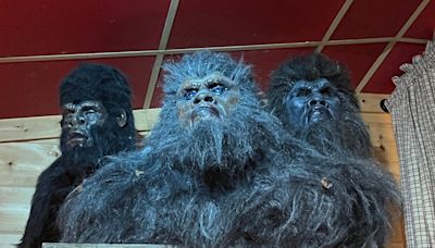Stranger things in Georgia: Give your road trip some fun mystery at 'Expedition: Bigfoot!'