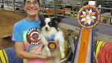 Dog agility trials draw owners from 3 states to Cadence Center