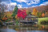 Brookside Gardens