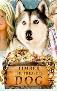 Timber the Treasure Dog