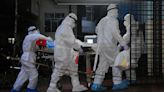 Una muerte por el virus Nipah pone en alerta a los funcionarios sanitarios del sur de la India