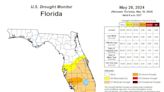 Sarasota County's drought now considered severe, with little rainfall since February