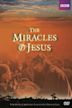 The Miracles of Jesus