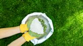 Keep your yard green and healthy with the best lawn fertilizers