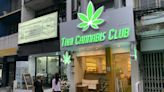 El lucrativo negocio del cannabis ahoga las elecciones tailandesas en la controversia