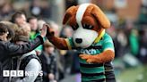 Northampton Saints looking for new Bernie the Dog mascot