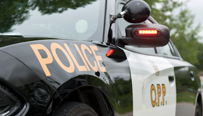 Pedestrian struck and killed by OPP cruiser in Muskoka: police