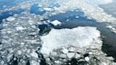 Less sea ice on Labrador coast means more icebergs — but fewer seals