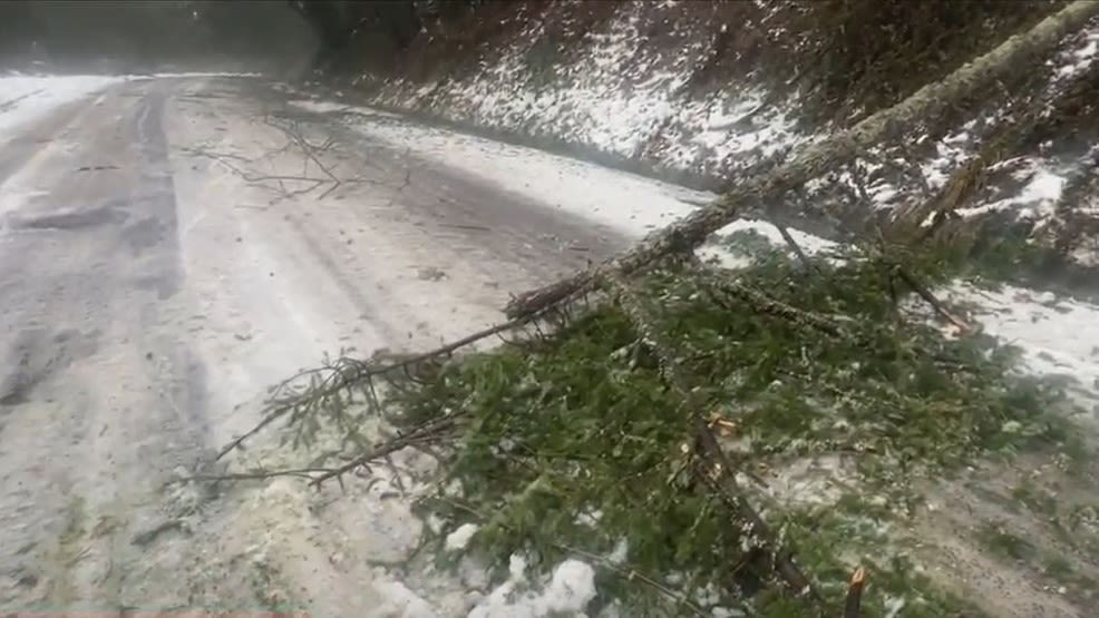 Fire officials concerned about ice storm debris