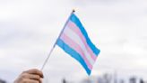 The State health plan discriminated against transgender employees, US Appeals Court rules