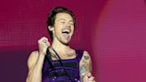 Harry Styles, Dua Lip and Ed Sheeran for huge charity gig