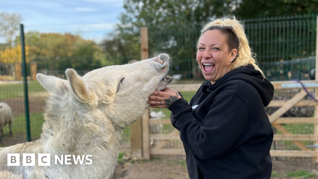 Jodie Marsh appears in court to appeal animal licence decision