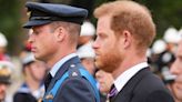 Prince Harry and Prince William Walk Side-by-Side in Queen Elizabeth's Funeral Procession