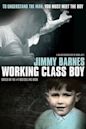 Working Class Boy (film)