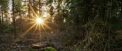 Medieval treasure — belonging to legendary scammer — discovered in Poland mountains