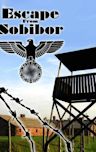 Escape from Sobibor