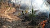 Reportan incendio en zona ecológica de Valle de Bravo