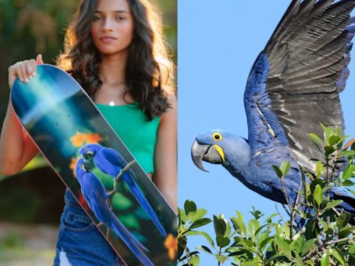 Rayssa Leal: skate personalizado para Paris leva arara-azul, ave típica do Pantanal; veja curiosidades