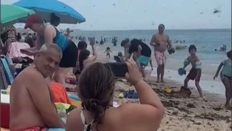 Video: Dragonfly swarm fills the sky like a ‘black cloud’ at a Rhode Island beach