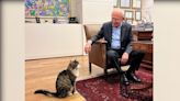蹭貓主子吸人氣 土耳其總統候選人保證「貓糧不漲價」