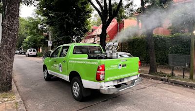 La Nación / Argentina supera 333.000 casos y 238 fallecidos por dengue