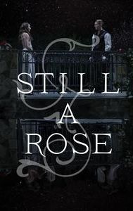 Still a Rose