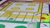At This Ludo Tournament In Bengal's North 24 Parganas, The Prize Money Was A Cow - News18