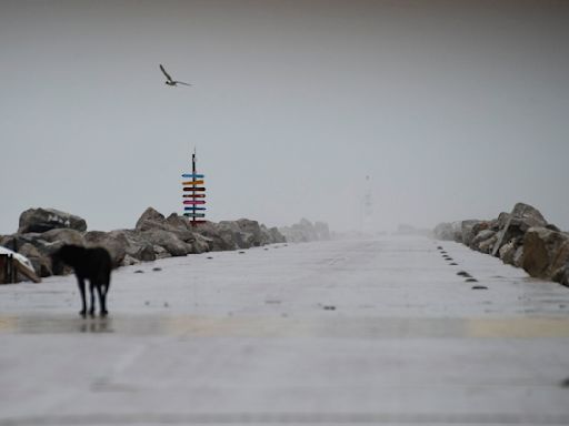 Tropical Storm Alberto dissipates over central Mexico after heavy rains killed 4