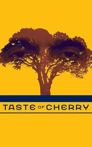 Taste of Cherry