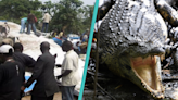 Escaped crocodile caused 20 to die in plane crash