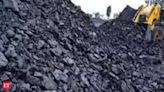 Centre says 19 coal mines allocated to 13 thermal power plants for fly ash disposal