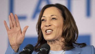 Harris tries to hold the line for Biden as Democrats panic over election