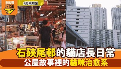 香港石硤尾邨公屋文化探祕：貓店長成為街市新寵 六隻貓咪為雜貨店帶來無限歡樂