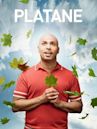 Platane