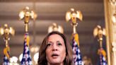 Girl, So Confusing: Will the “Brat” Memes Help or Hurt Kamala Harris?