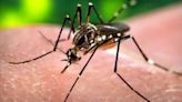 BEAT Dengue drive in Pimpri-Chinchwad: PCMC pulls out all stops to make city safe from infections