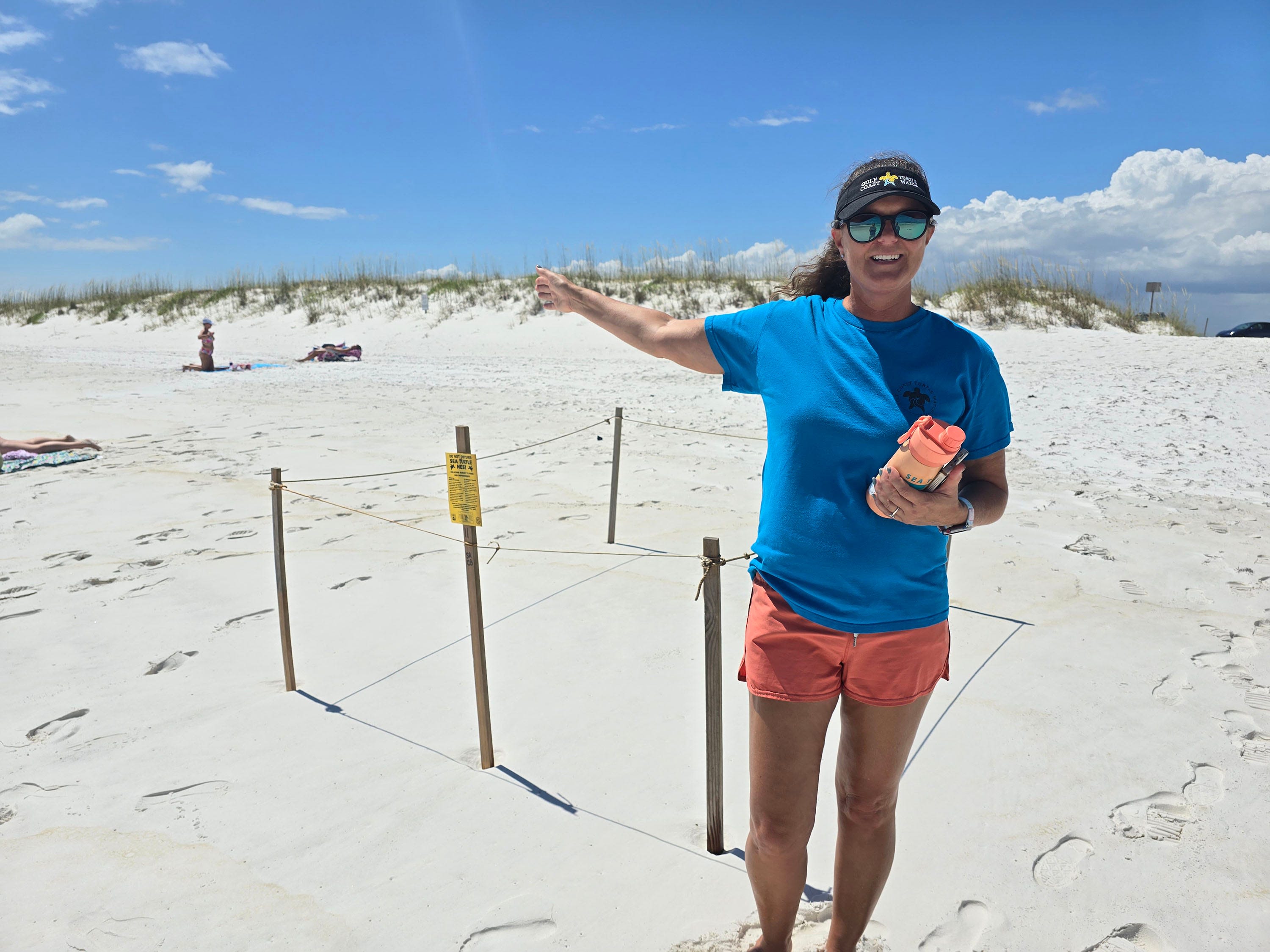 Sea turtles nests in Escambia hit hard by storm surge. FWC wouldn't let them be moved.