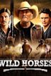 Wild Horses (2015 film)